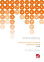 Contributo di Ricerca 284/2019. Profili territoriali dell'incendentalità stradale in Piemonte 2019